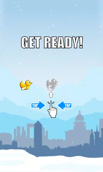Duck Run स्क्रीनशॉट 1