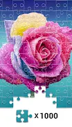 Jigsaw1000: Jigsaw puzzles應用截圖第1張