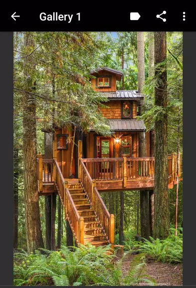 Treehouse应用截图第3张