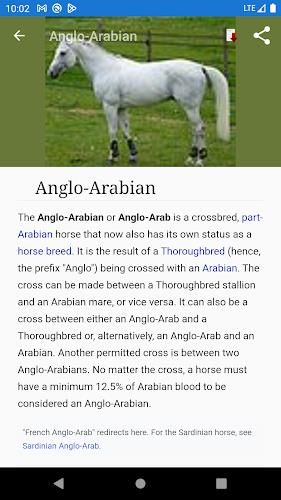 Horse breeds - Photos Скриншот 2