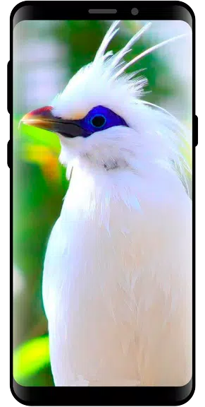 10000 Nature Wallpapers স্ক্রিনশট 1