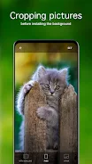 Papéis de parede com gatinhos Captura de tela 4