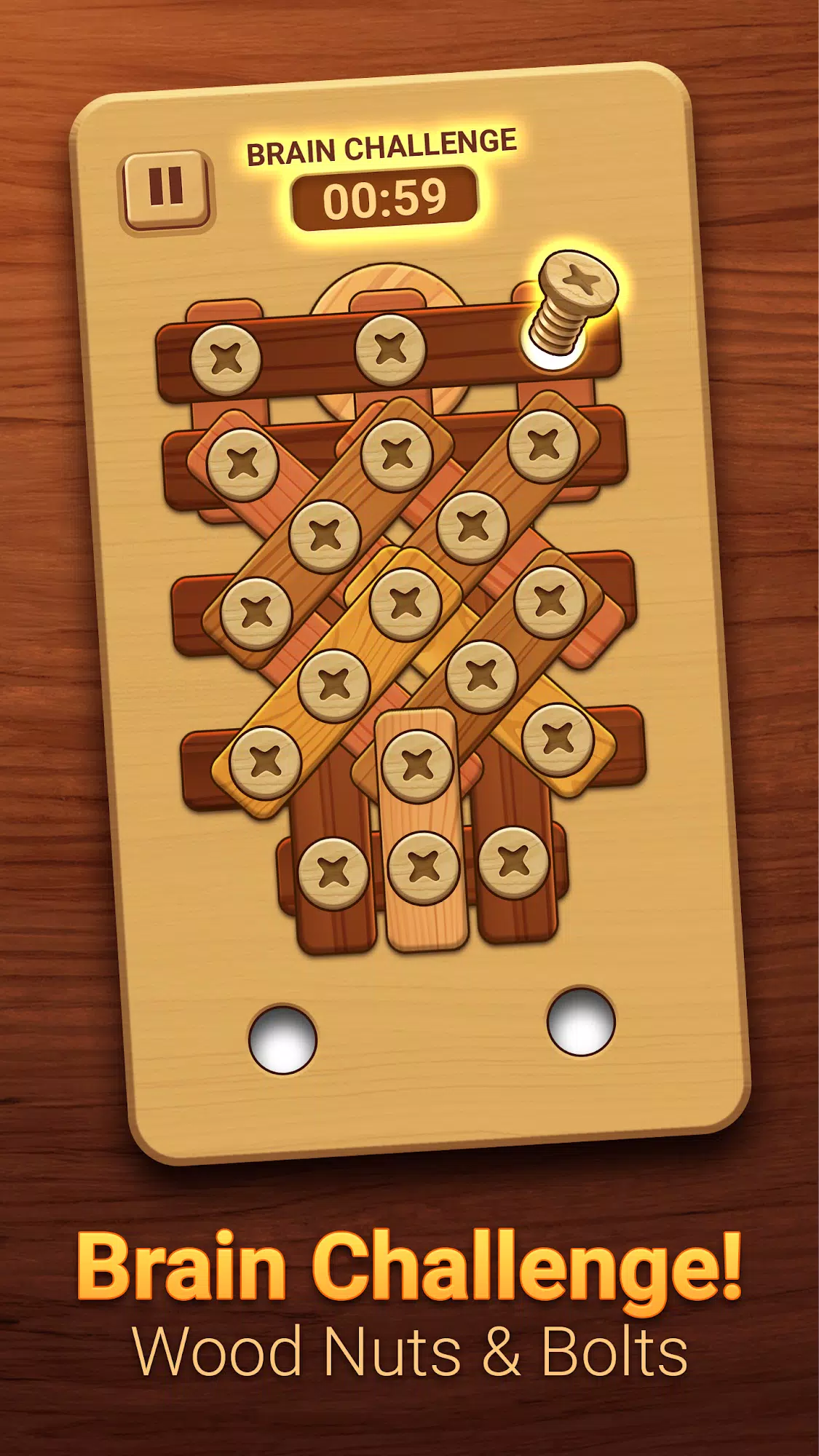 Woodle - Wood Screw Puzzle Screenshot 3