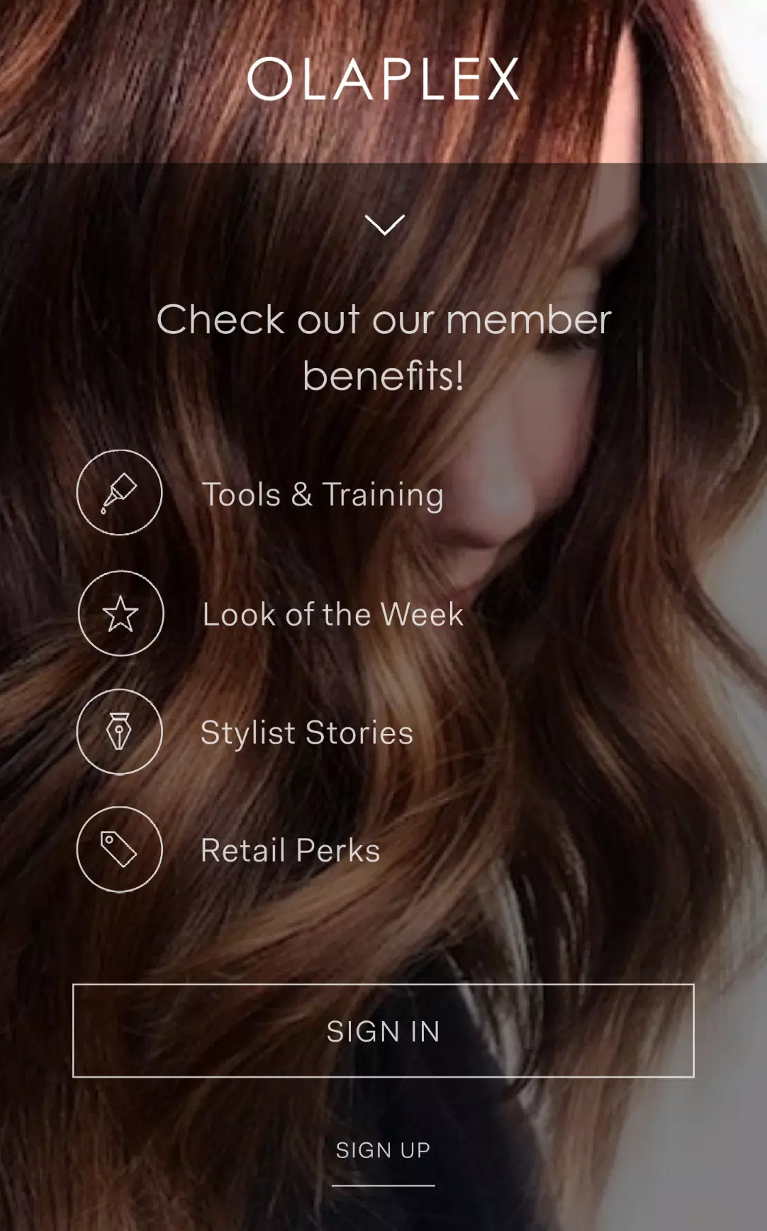 Olaplex Pro ภาพหน้าจอ 1