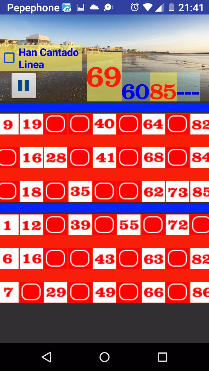 Bingo Caletero Скриншот 3