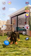 Talking Dogs 스크린샷 3
