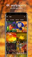 Fondos de pantalla de otoño 4K Captura de pantalla 2