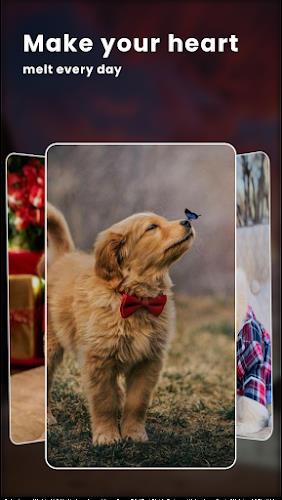 Puppy Love: Cute Dog Wallpaper স্ক্রিনশট 3