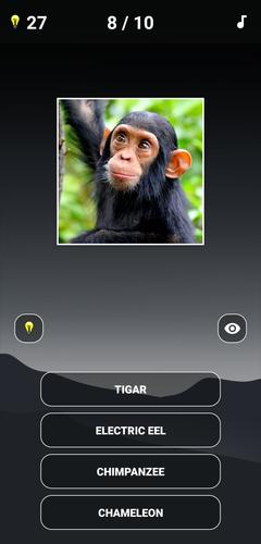 Schermata Animal Quiz: Guess the Animal 1