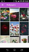 Live wallpapers 3D: AI Photo應用截圖第3張