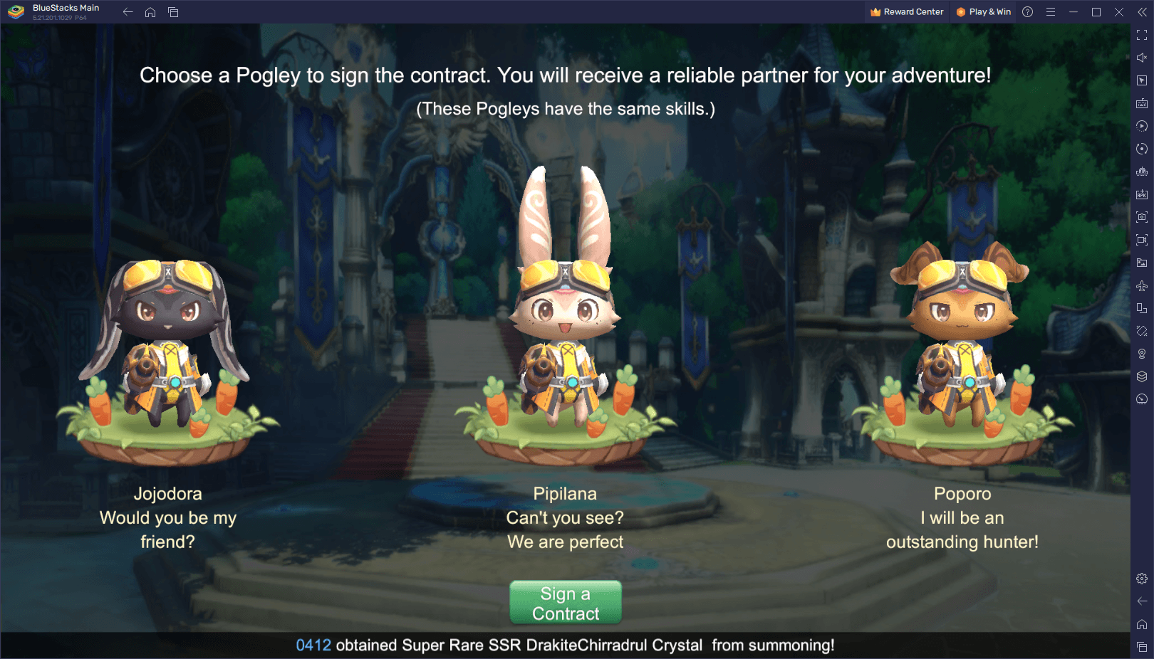 드라코니아 사가: 포글리스 가이드 - 획득법과 키우는 법