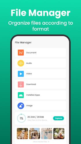 Wise Sweep Master-File Manager Ekran Görüntüsü 1