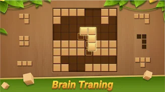 Block Puzzle - Wood Blast應用截圖第1張