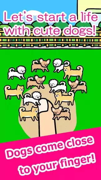 Play with Dogs - relaxing game Скриншот 1