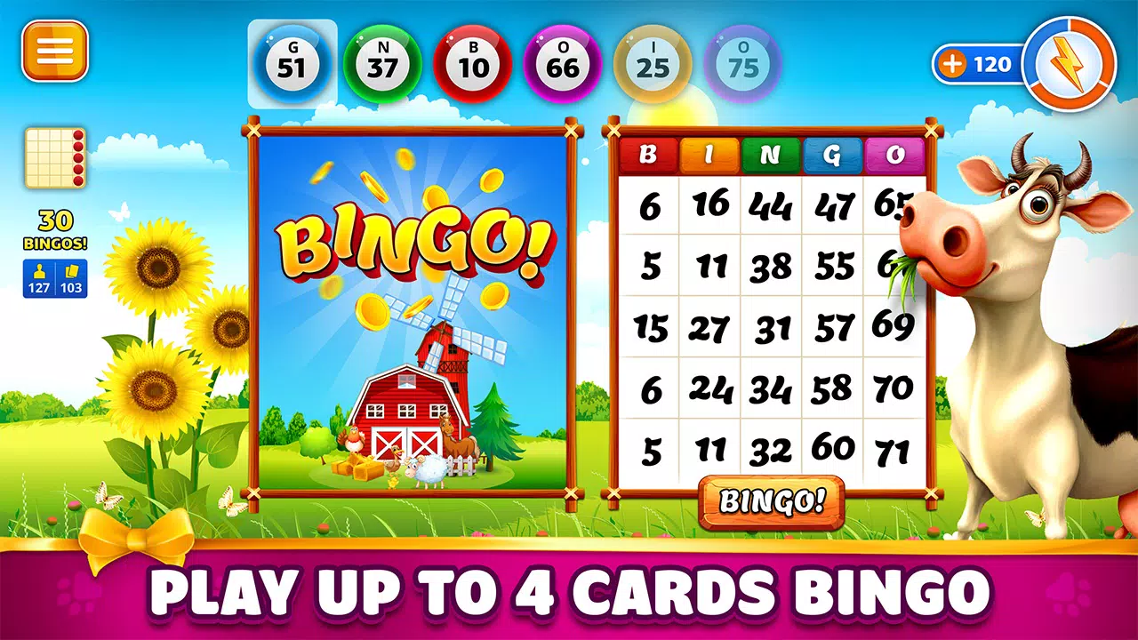 Pet Bingo: Bingo Game 2024 Скриншот 4