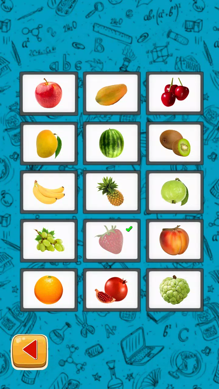 Quizonia The Basic Screenshot 3