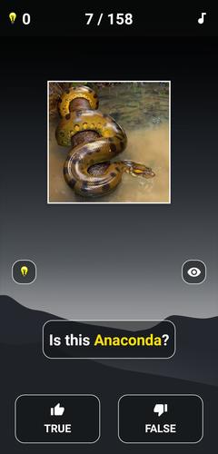 Schermata Animal Quiz: Guess the Animal 3
