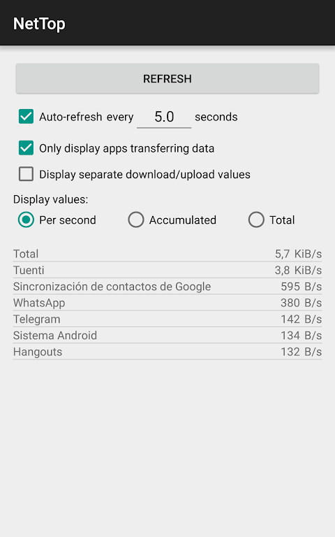 NetTop: RealTime Network Meter Screenshot 1