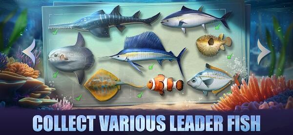 Top Fish: Ocean Game Скриншот 3