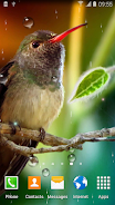 Hummingbirds Live Wallpaper ဖန်သားပြင်ဓာတ်ပုံ 1