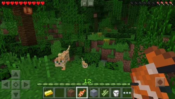 クリエイティブゲームがとても中毒性がある理由：意見