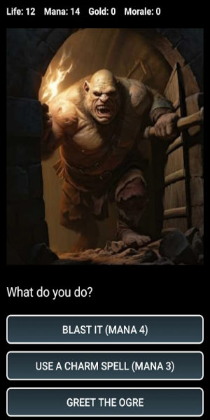 Dungeons and Decisions RPG Mod Zrzut ekranu 1
