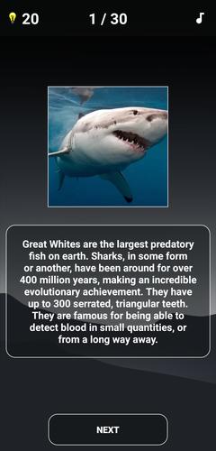 Schermata Animal Quiz: Guess the Animal 4