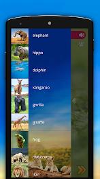 Animals and Birds Скриншот 4