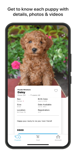 Lancaster Puppies應用截圖第1張