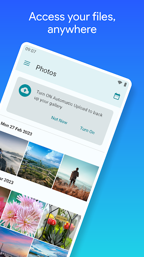 pCloud: Cloud Storage Скриншот 2