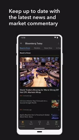 Bloomberg Professional Ekran Görüntüsü 3