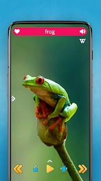 Animals and Birds Скриншот 3