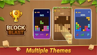 Block Puzzle - Wood Blast應用截圖第4張