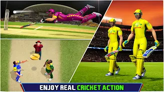 Indian Cricket Championship Ảnh chụp màn hình 2