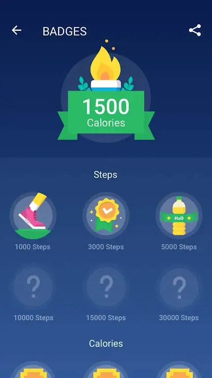 Schermata Pedometer 4