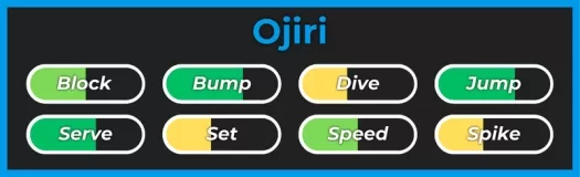 Stile Ojiri dall'esperienza Roblox di Haikyuu Legends