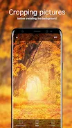 Fondos de pantalla de otoño 4K Captura de pantalla 4