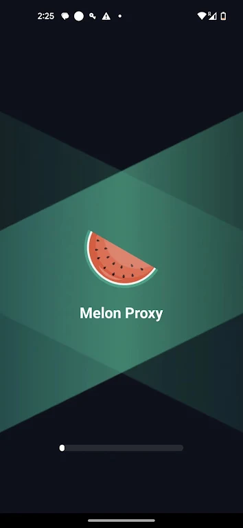 Schermata Melon Proxy 1