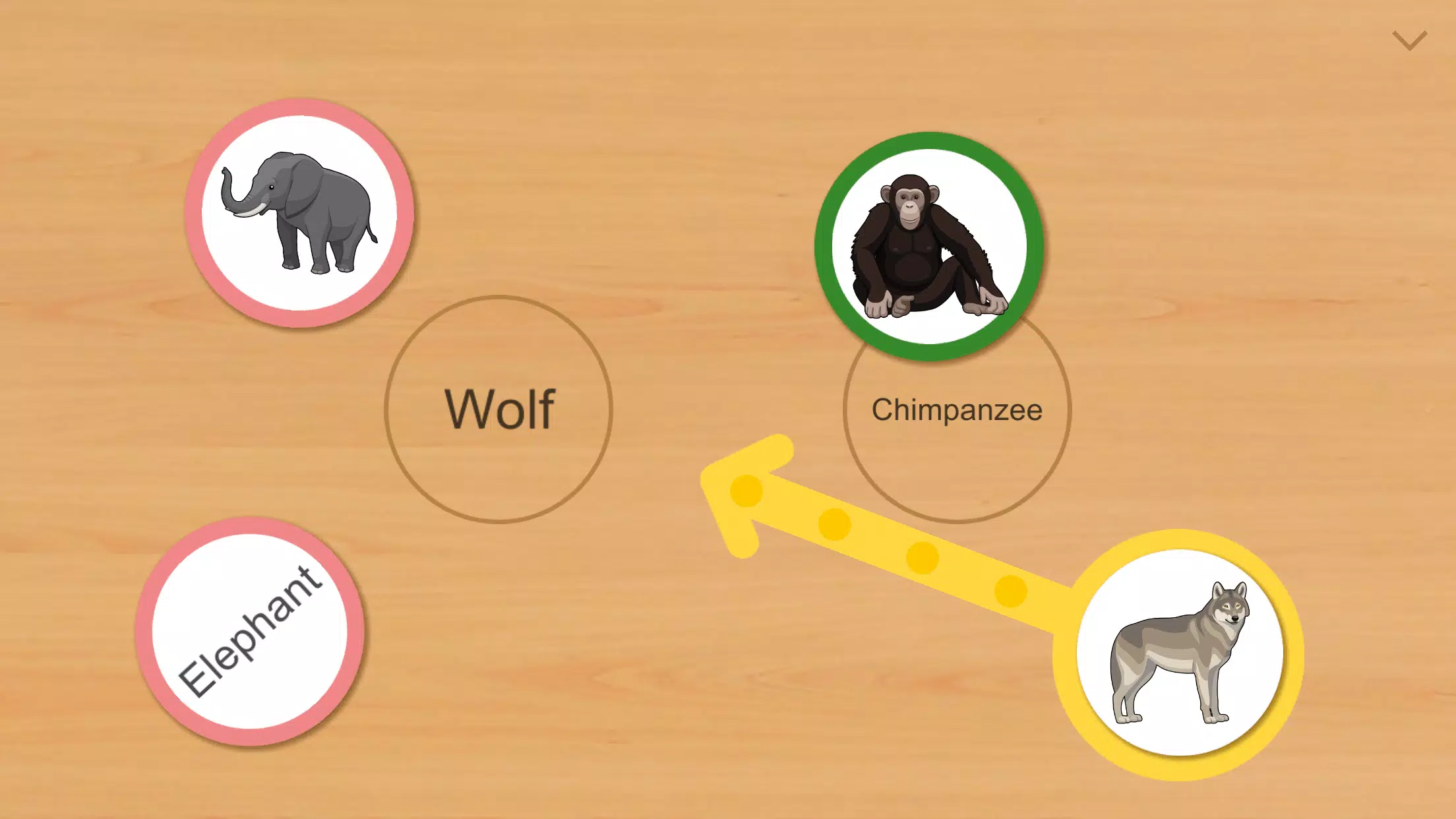 Animal Card Matching スクリーンショット 2