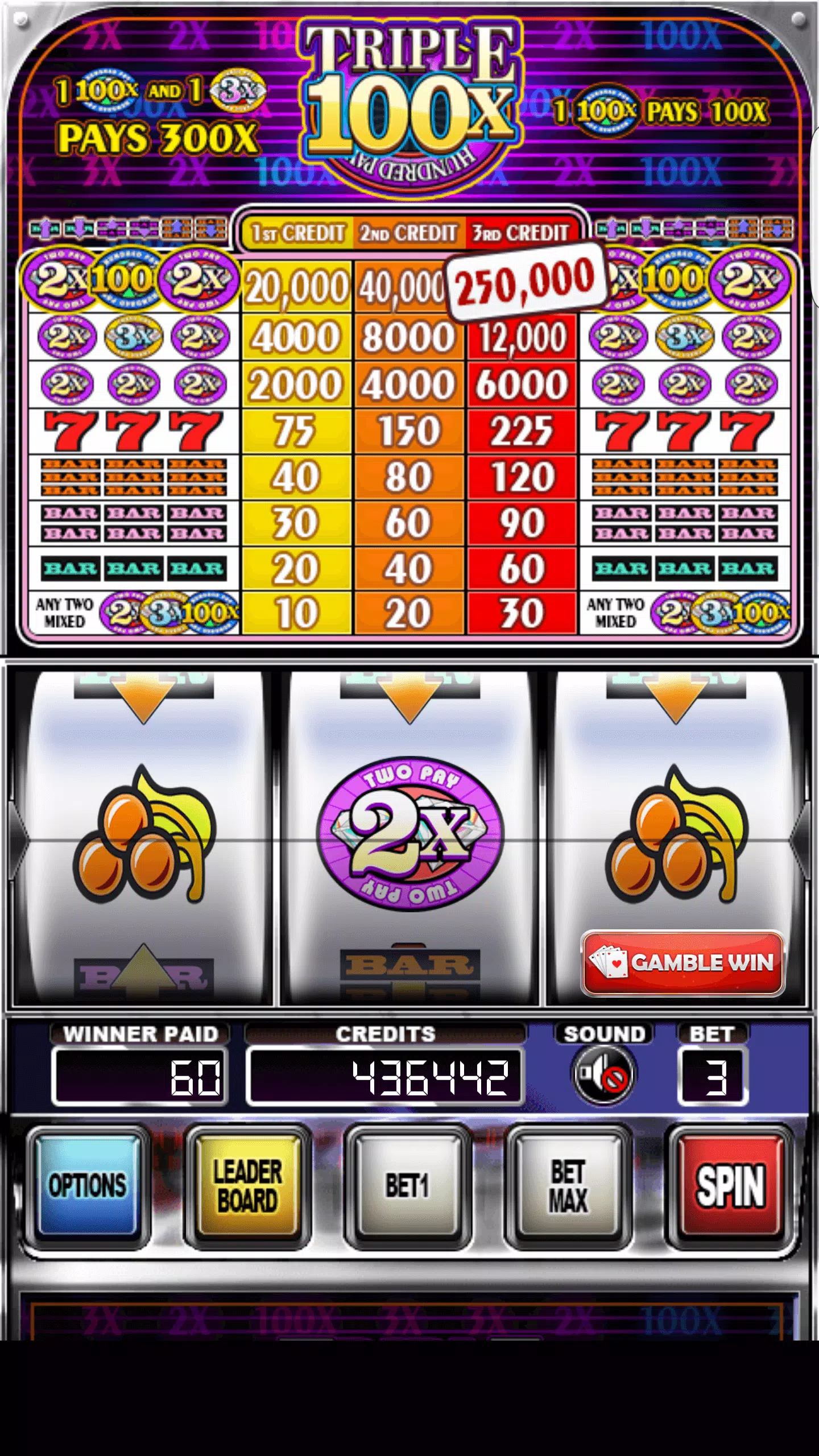 Double Wild Slots Captura de pantalla 2