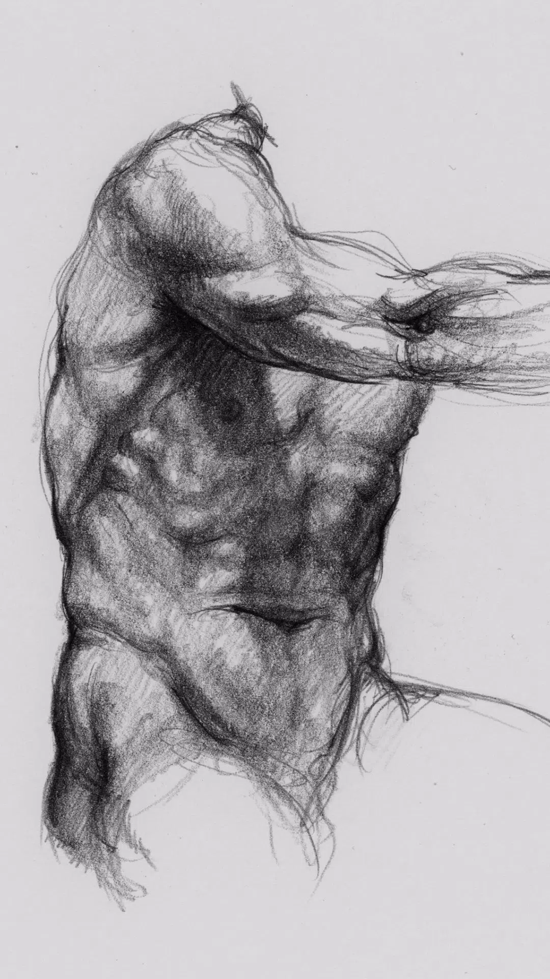 Anatomie 3D pour artiste Capture d'écran 1