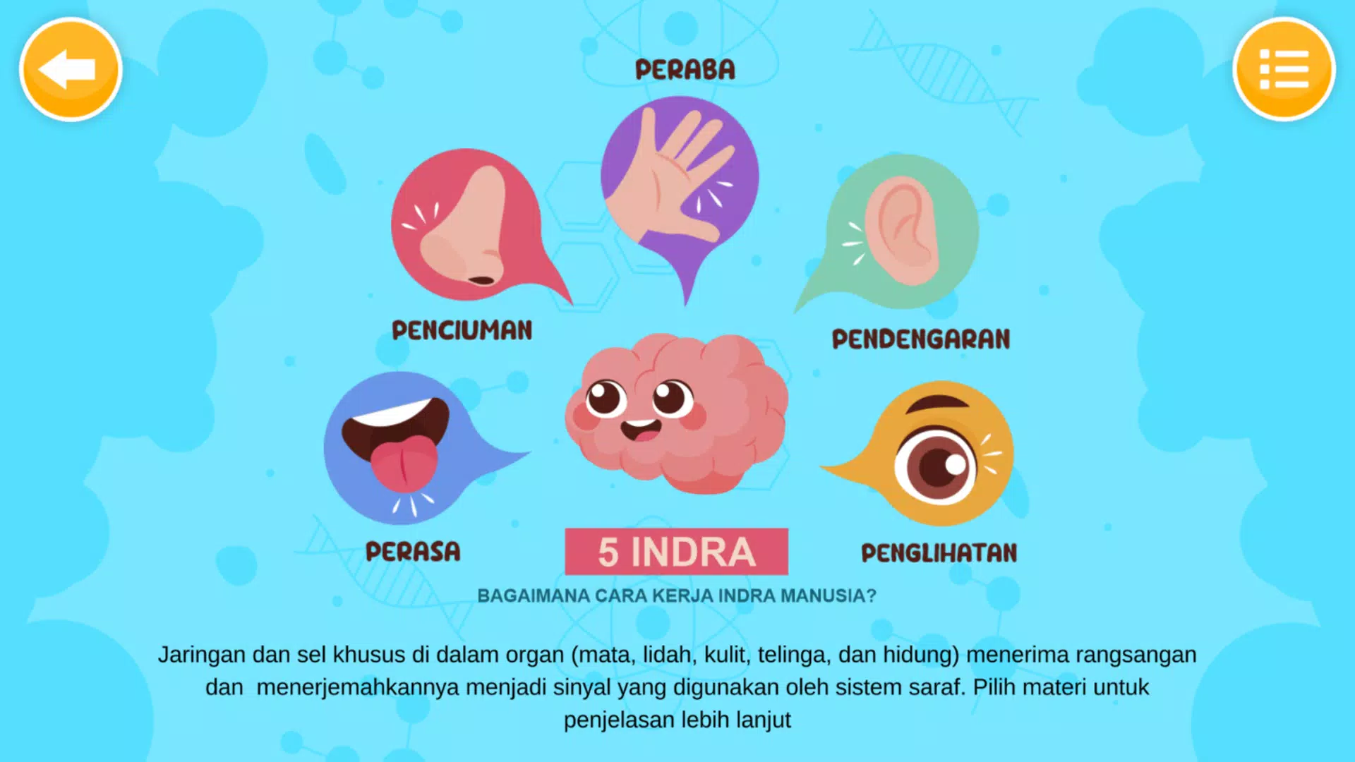 Sistem Indra Manusia Tangkapan skrin 2