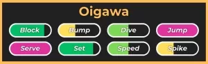 Stile Oigawa dall'esperienza Roblox di Leggende del Volley