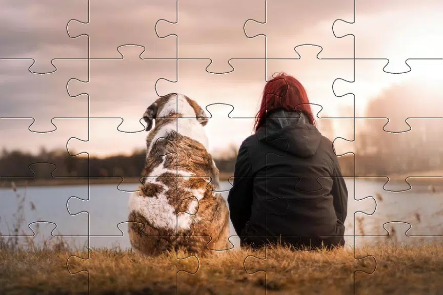 Jigsaw puzzle without internet ဖန်သားပြင်ဓာတ်ပုံ 4
