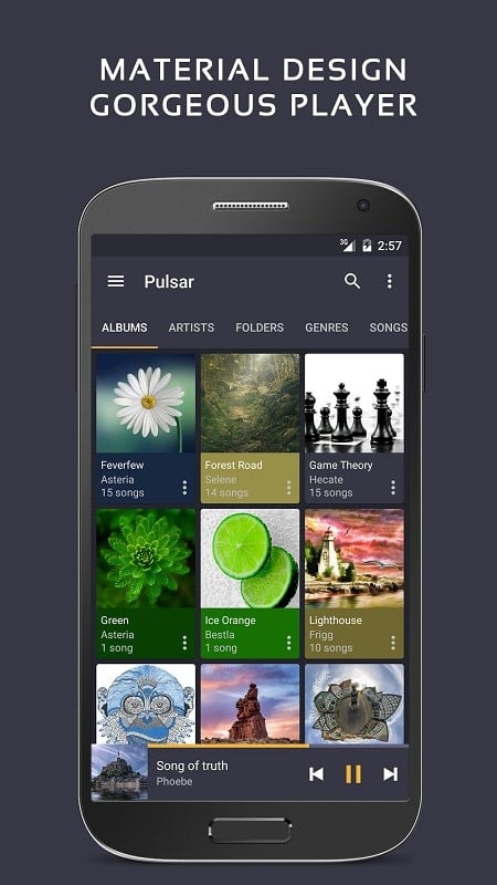 Pulsar 音楽プレーヤー スクリーンショット 1