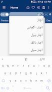 English Urdu Dictionary應用截圖第4張
