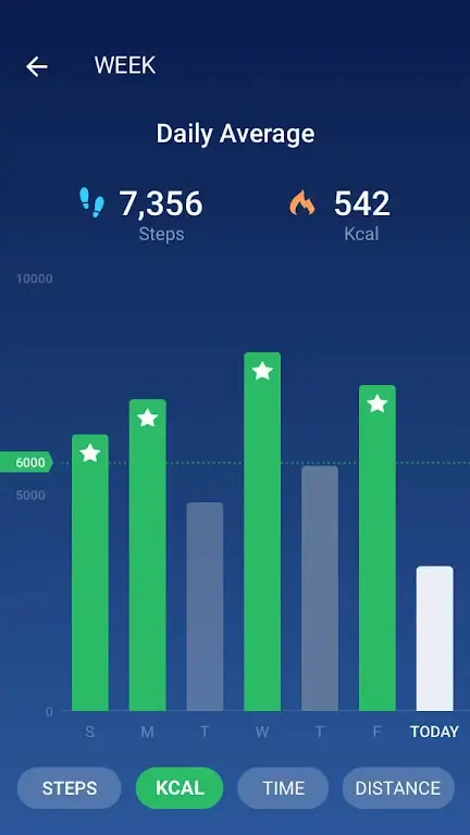 Schermata Pedometer 3