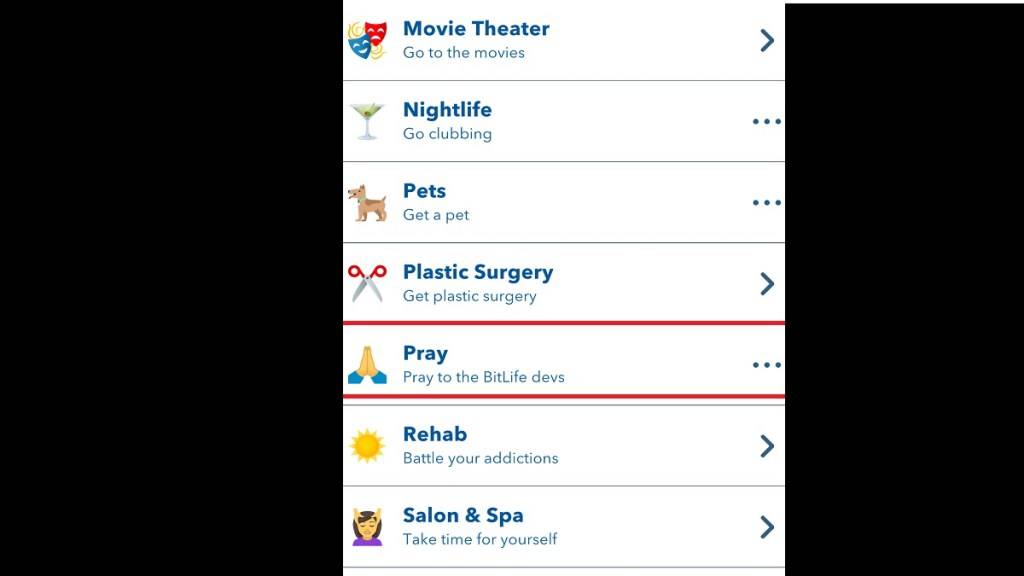 Pray option in BitLife's Activity menu