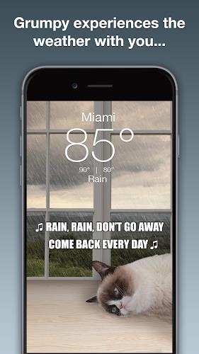 Grumpy Cat Weather Скриншот 2