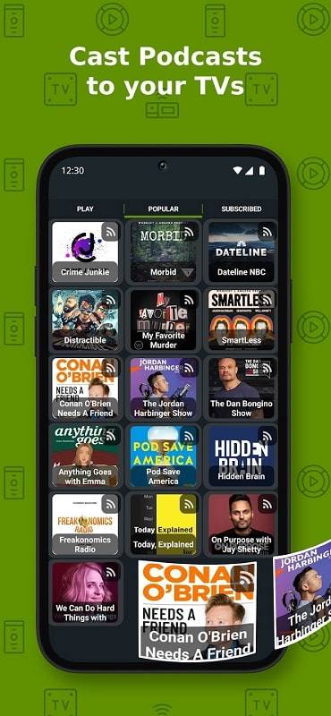 Cast to TV+ Chromecast Roku TV Скриншот 1